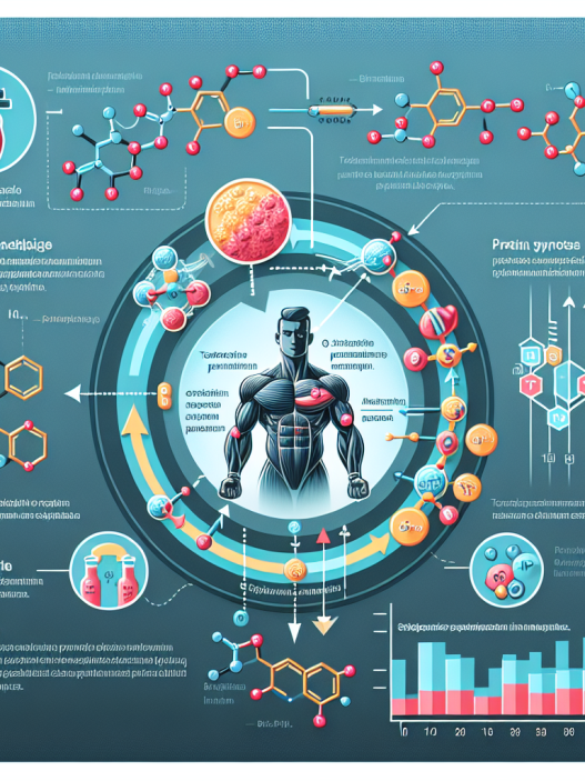 Wie Testosteron phenylpropionat die Proteinsynthese im Muskel ankurbelt: Wissenschaftliche Erklärung