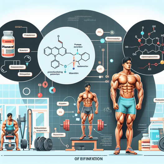 Definitionsphase im Bodybuilding und Stanozolol: Chancen und Risiken im Überblick